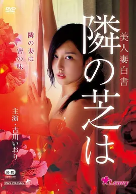 电影《叶问》海报